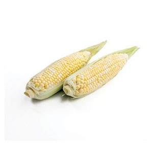 corn_2