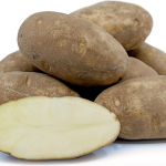 Russets are what we think of when we say "potato."